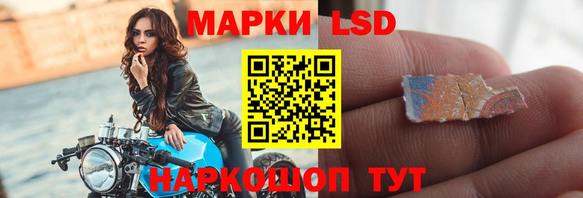 LSD-25 экстази кислота Кингисепп