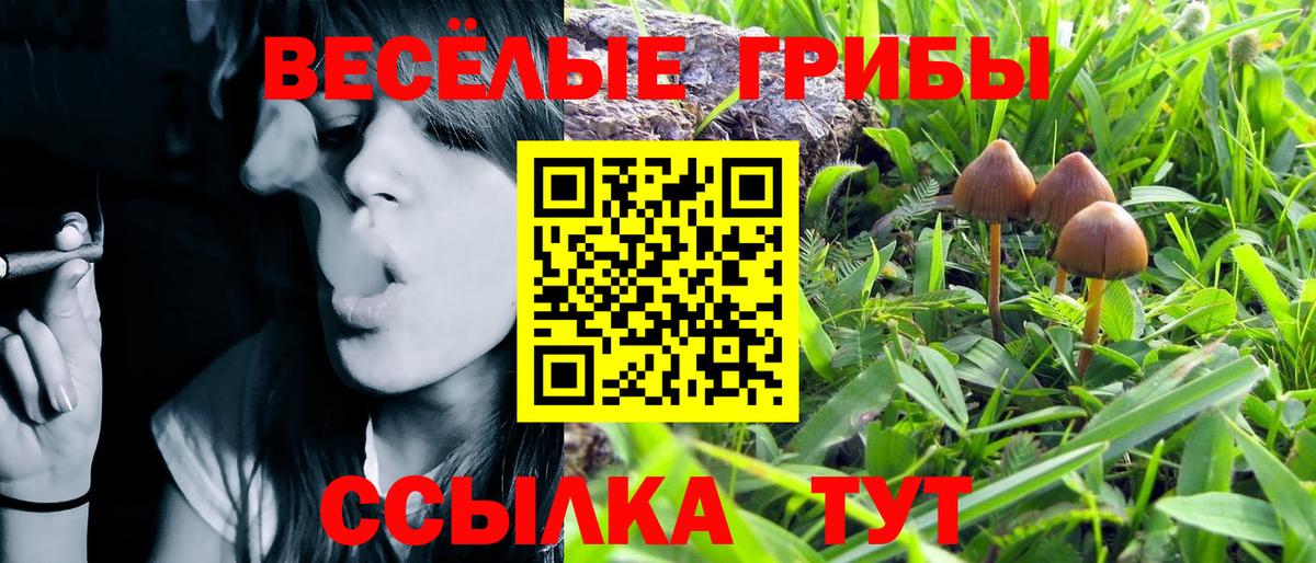 сколько стоит  Галлюциногенные грибы мухоморы  Вход с VPN  Кингисепп 