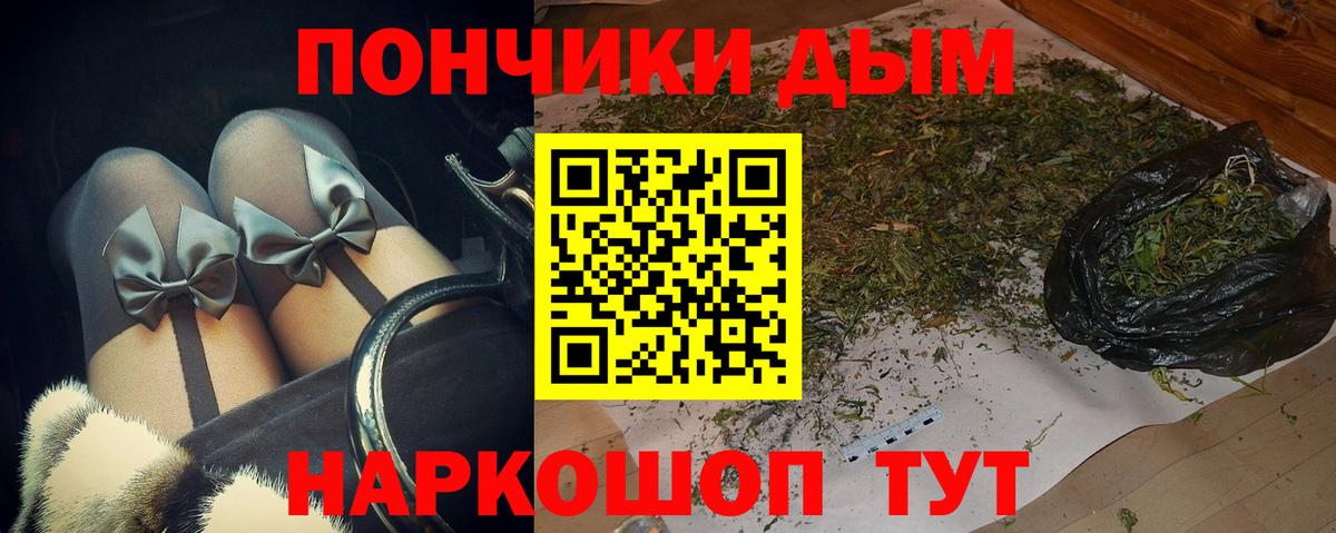 Конопля ГИДРОПОН  Канабис планчик  Вход с VPN  МАРИХУАНА SATIVA & INDICA  Кингисепп 